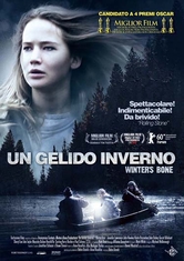 locandina di Un gelido inverno - Winter's Bone 